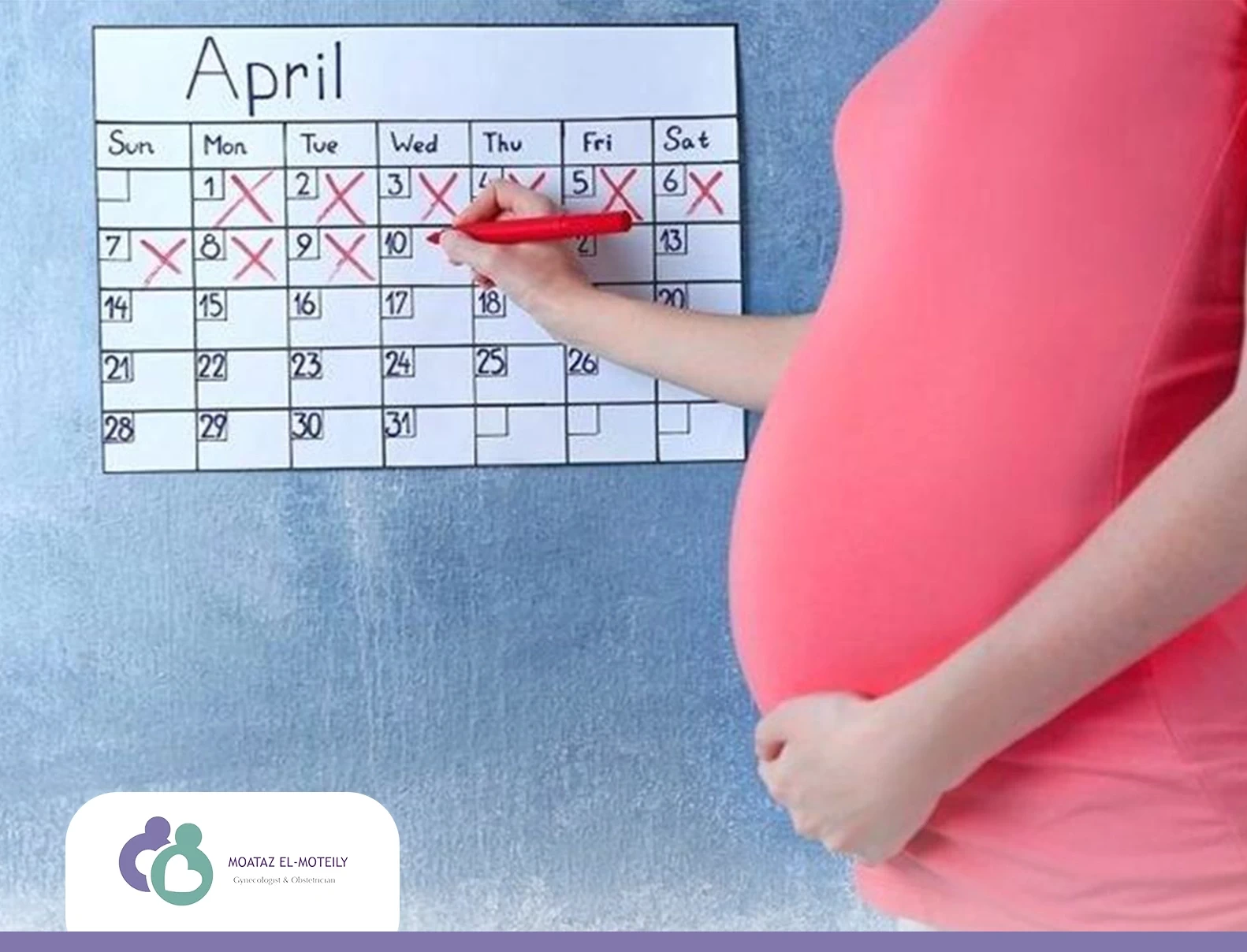 الحمل بالاسابيع والاشهر