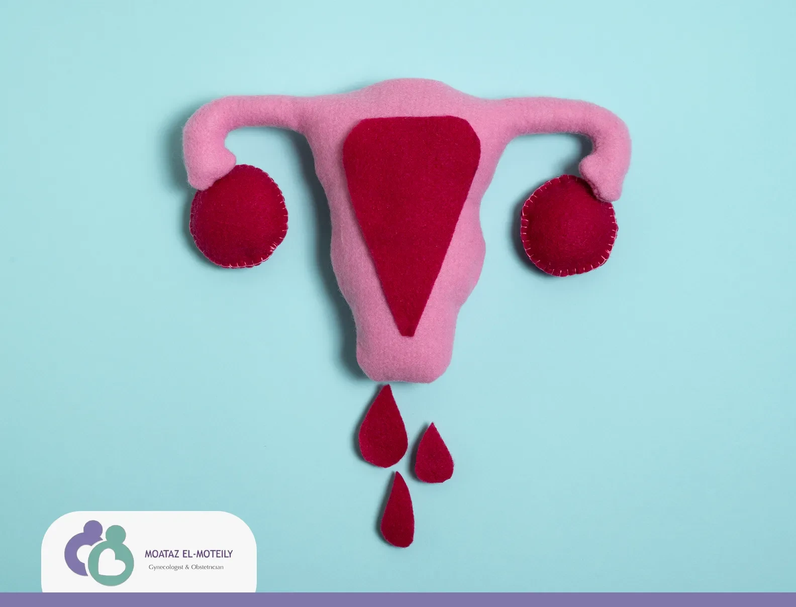 شكل بطانة الرحم عند نزولها