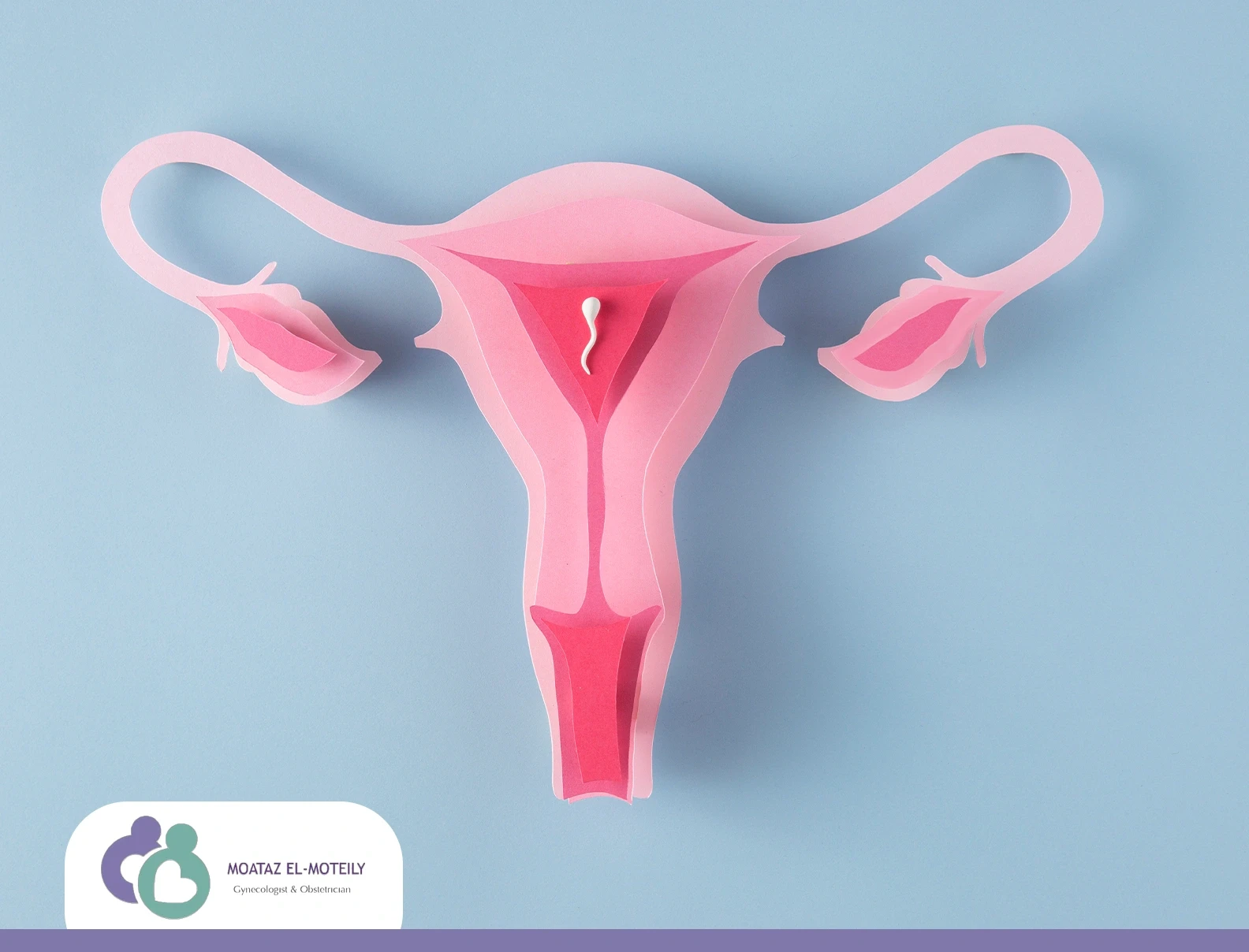 تجربتي مع سماكة بطانة الرحم