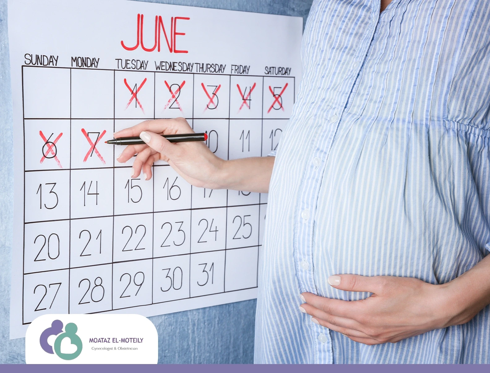 الحمل بالاسابيع والاشهر